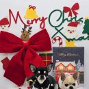 쁘니댕댕 이미지