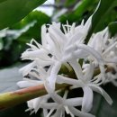 감당농장 이미지