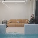 꿈이풀풀