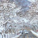 우화정휴게소