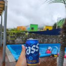 더휴일 캐슬 이미지