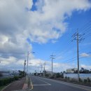 표선리-11 이미지