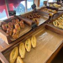 오베르망 이미지