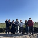 25.11.26 비행기를 타고 떠나는 제주도 가을여행 - 3일차(오설록티뮤지엄, 신화테마파크, 신창풍차해안도로, 웨이뷰, 제갈양갈치) 이미지