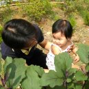 예린농장 이미지