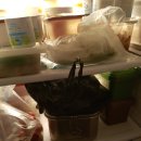 신세대상가 이미지