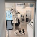 주흥3길 1 | 신논현미용실 블룸 신논현점 이은디자이너님 클리닉 후기🐶❤️