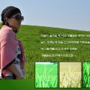 보리마을농장 이미지