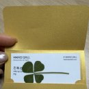 트럭스타모터스 | 바바리안모터스 MINI 일산 전시장 방문 #미니쿠퍼 컨트리맨 구매 고민중