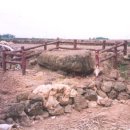 동일리-4 이미지