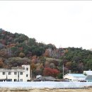 솔뫼골식당 이미지