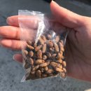 두나펫 코리아 이미지