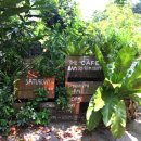 피에스팜 이미지