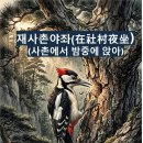소나무(산촌마을) | <이함우087> 이광려 – 재사촌야좌(在社村夜坐, 사촌에서 밤중에 앉아)