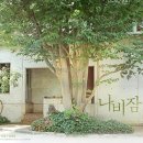 나비잠 이미지