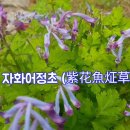어정초등학교 이미지