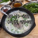 수라국밥 | 부산 토박이 피셜 탑티어 24시간 돼지국밥 '수라국밥 경성대점' 내돈내산 솔직후기