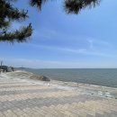 홍어랑칼국수 이미지