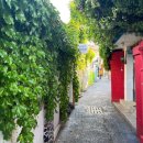 오동동162 이미지