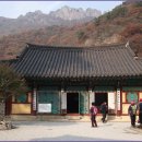 전북 정읍 내장산 내장사 (內藏山 內藏寺) 순례 2 이미지