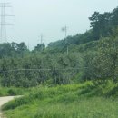 금영농장 이미지