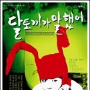 달토끼 이미지