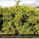 민영농장 이미지