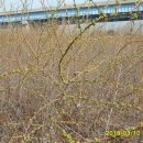 구포 지하철역 이미지