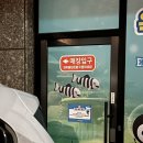 [옥토넛키즈풀 대전도안점] 대형 키즈풀(온수) 키즈카페 후기