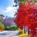 청계산수변공원 이미지