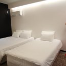 솜니움트리 이미지