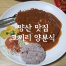 고인돌양분식 | PLACE | 경양식돈까스 남부시장 양산맛집 "코끼리양분식"