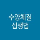 건강플러스365