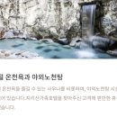 산수유자연휴양림 이미지