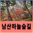 남산환경 노동조합 | 새로 개장된 남산하늘숲길, 2025 서울 가을단풍길