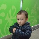 도경자동차병원 이미지