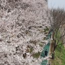 드림재가복지센타 이미지