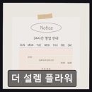 더 설렘 플라워