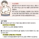 대시호탕 이미지