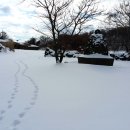 교래자연휴양림야영장 이미지