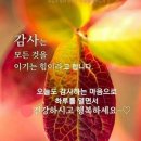 주식회사 백야 이미지