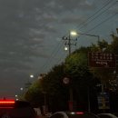 다기야금호점 | 짧일털 짧은 일상 털기