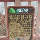 2014년 7월 27일제308회 바라산 자연휴양림트레킹 일요산행 이미지