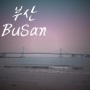 기차여행 | 남편이랑 다녀온 부산 2박 3일 기차여행 코스 후기