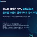 케이트레이딩 (Kay Trading) | [공지] BitradeX 사기 스캠 논란? 진짜인지 확인해보았습니다.
