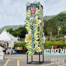 남곡천 | 2024 하동야생차문화축제