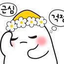 둘리동물병원 이미지