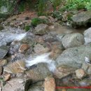 홀로세농장 Daum카페