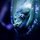 푸른전자 이미지