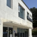 과수원막국수 | 양양여행 필수코스 낙산사 근처 냉면집 낙산진면옥 내돈내산